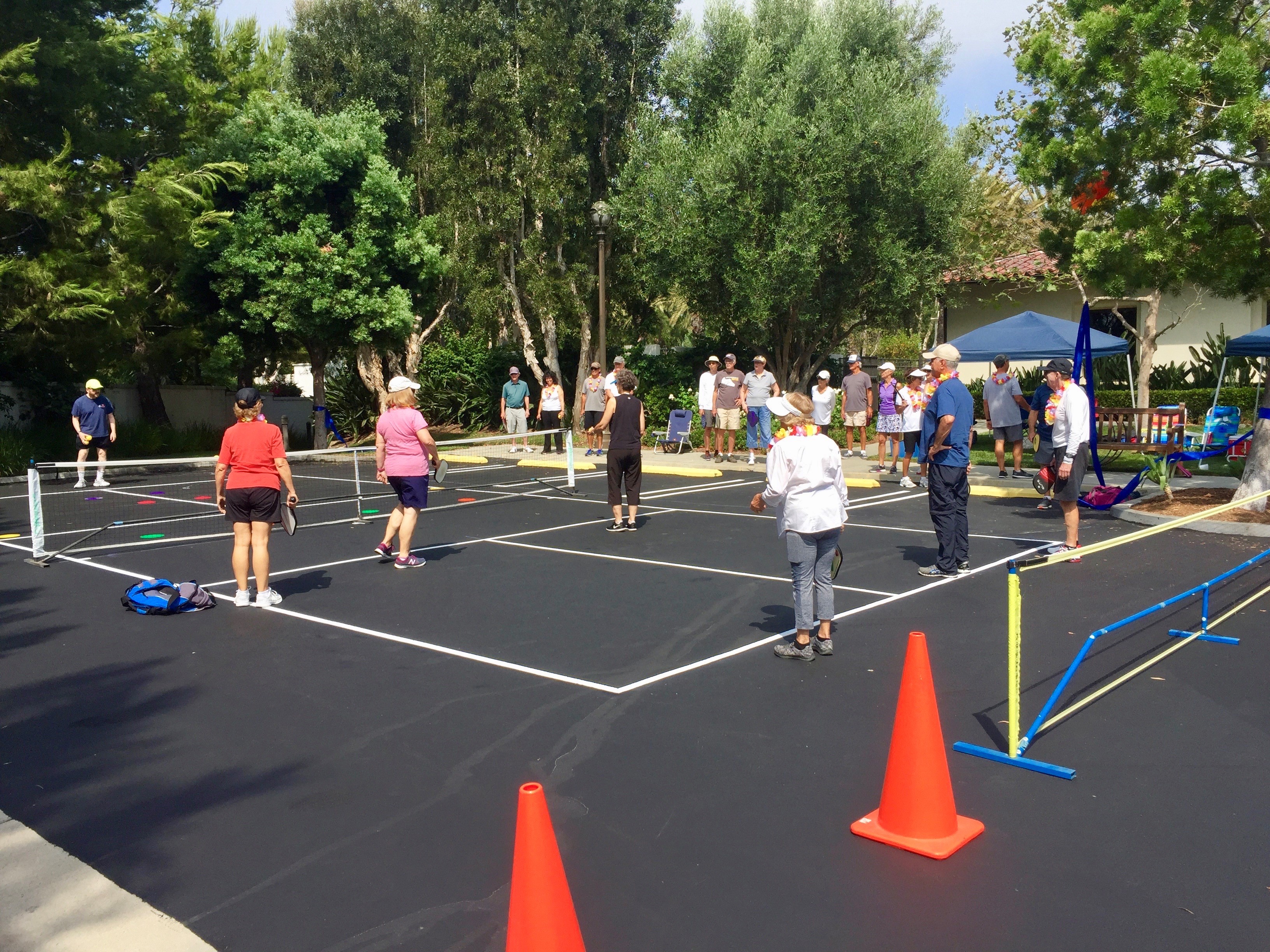Pickleball 5 Pickleball 2018