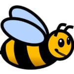 bumblebee bumblebee
