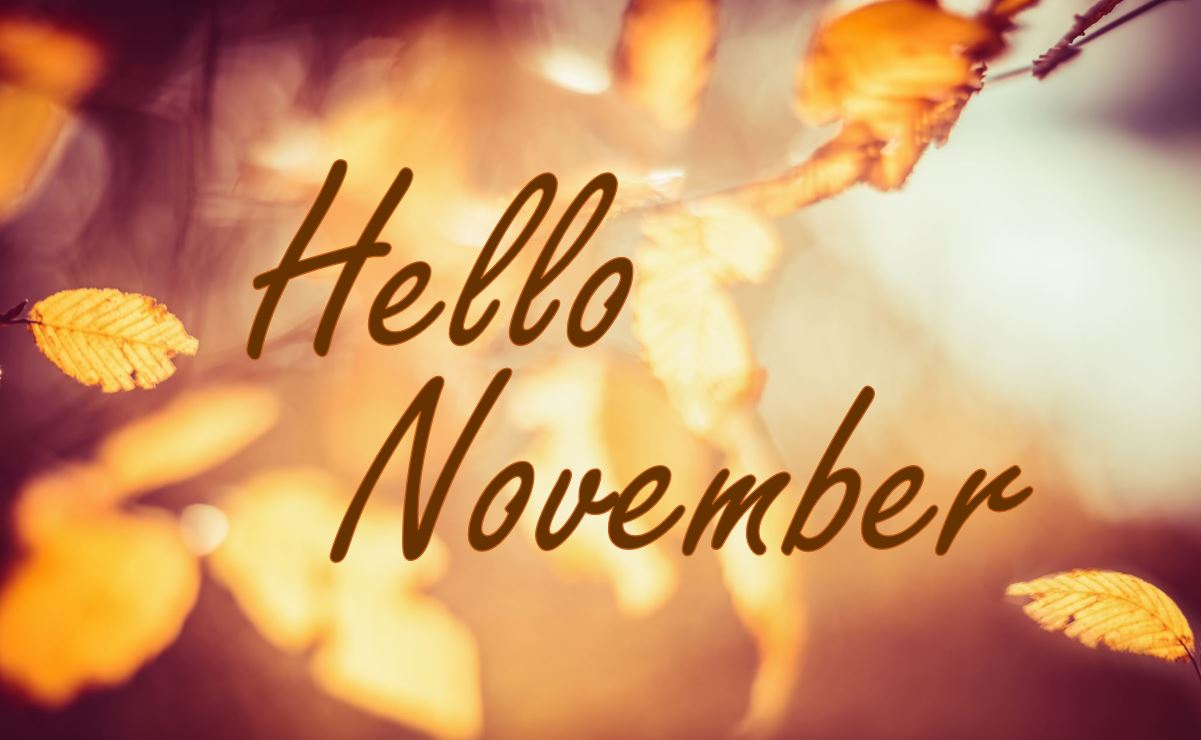 Large Nov Large Nov
