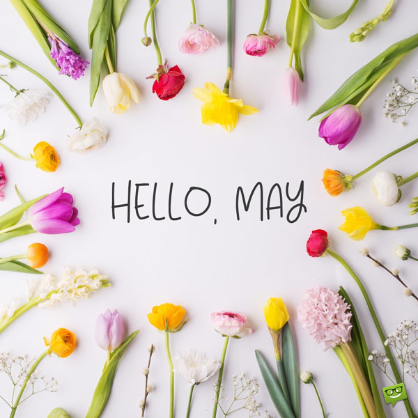 hello-may-7