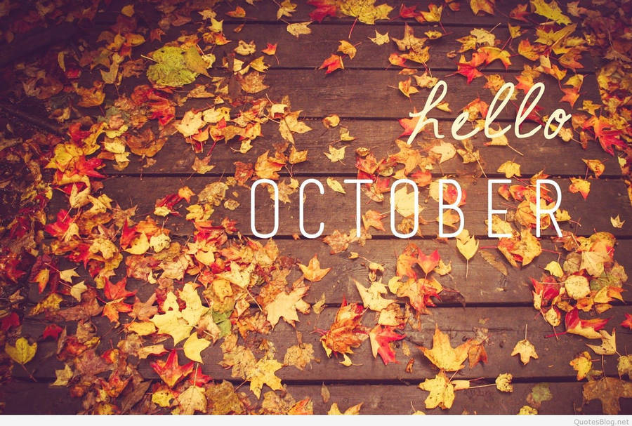 hello-october hello-october