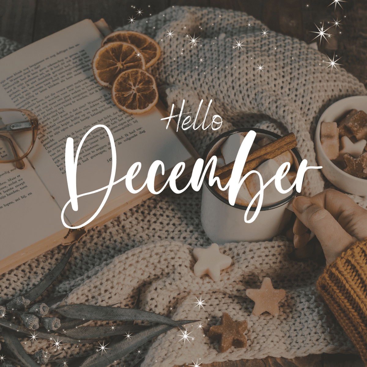 Brown Hello December Christmas Instagram Story (4 x 4 in) Brown Hello December Christmas Instagram Story (4 x 4 in)