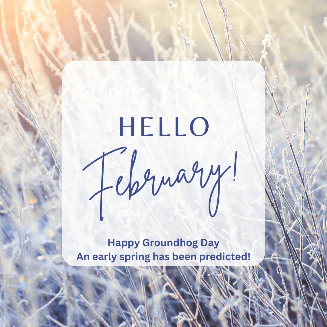 Hello February seasonal welcome photo Instagram Post