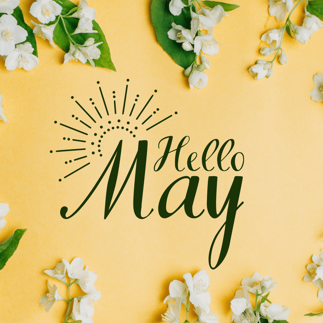 Hello May (1) Hello May (1)