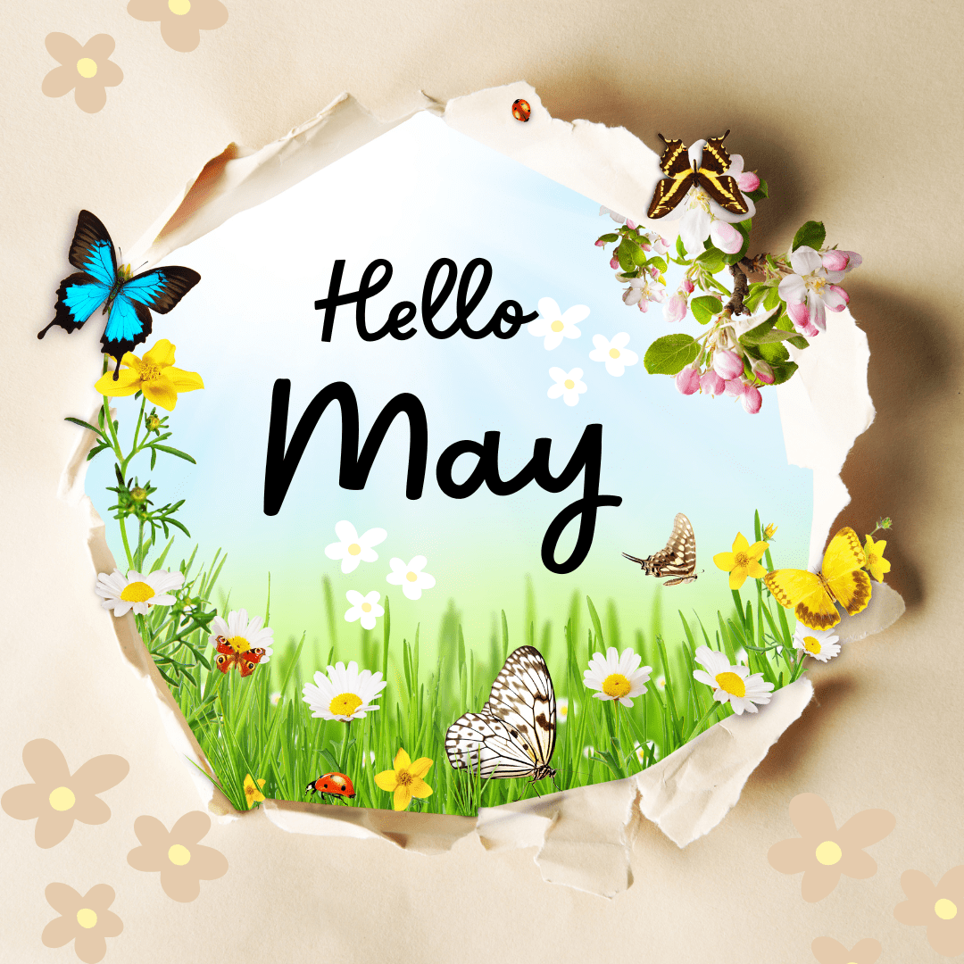 Hello May Hello May